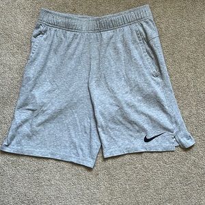 Gray Nike Dri-Fit Shorts (S)
